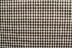 Cotton vichy checks 09-01