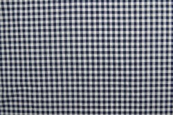 Cotton vichy checks 11-02 navy